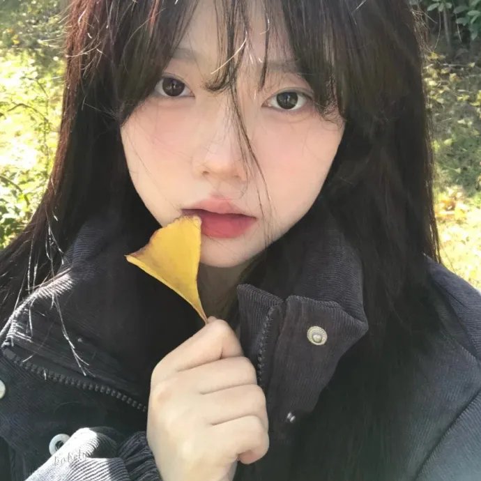 漫长的告别2019
