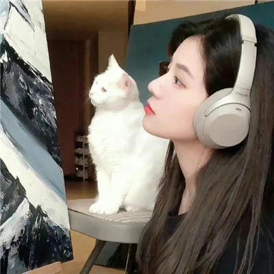 乱丝情网